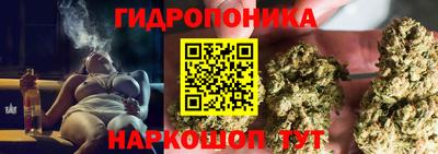 стаф Шебекино