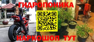 гашиш Шелехов
