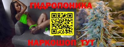 стаф Шебекино