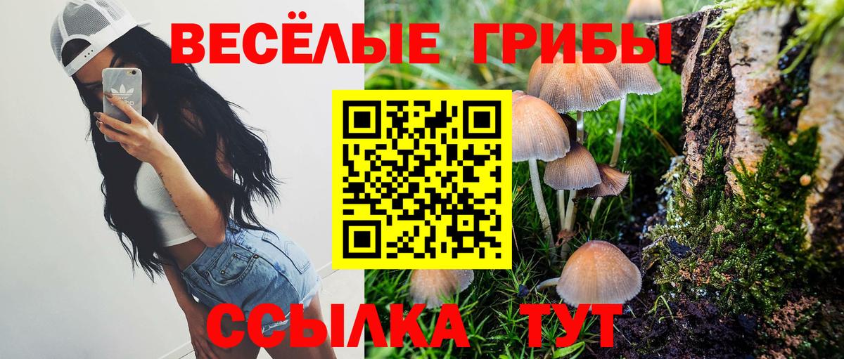 Псилоцибиновые грибы ЛСД Иваново