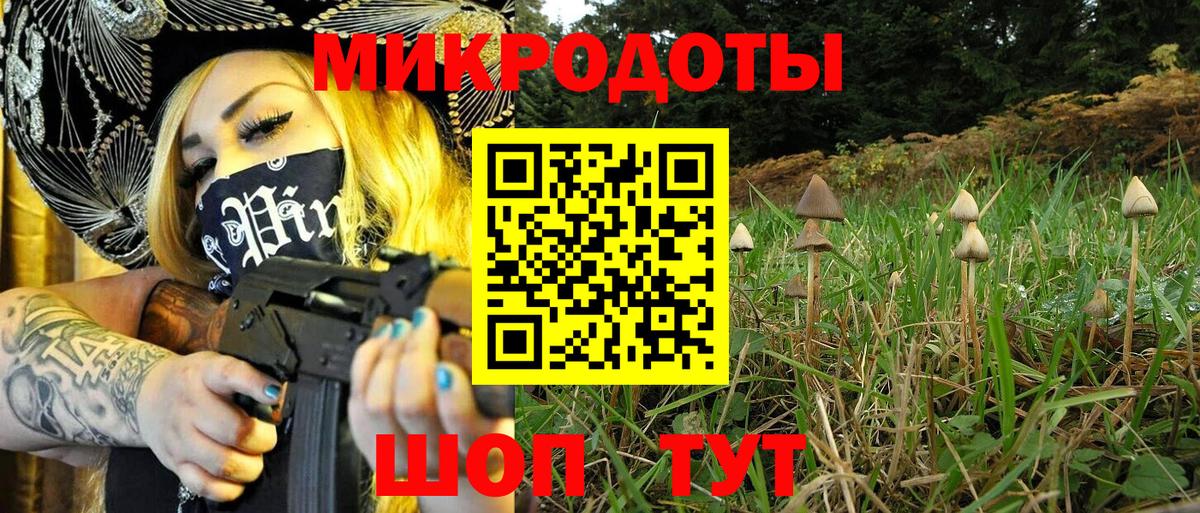 Галлюциногенные грибы Psilocybine cubensis  Вход с VPN  Иваново 